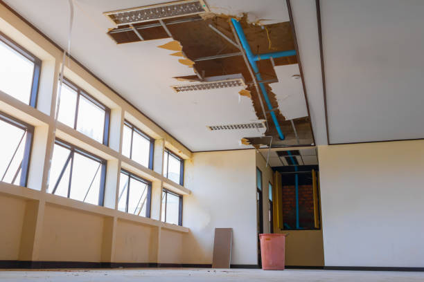Best Emergency water damage restoration  in Lake City, MN