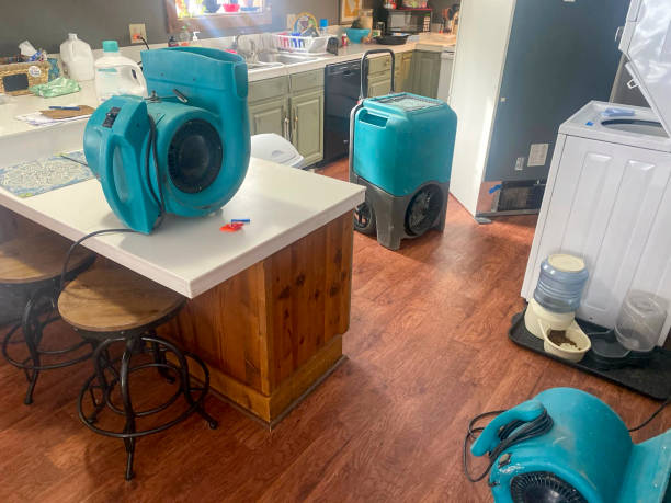 Best Water damage restoration near me  in Lake City, MN
