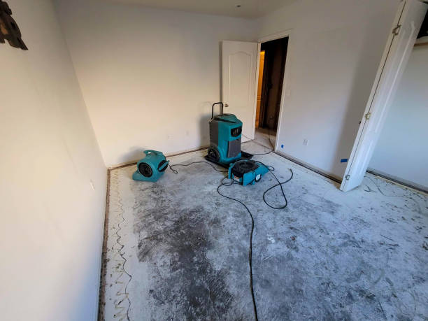Best Water damage contractors near me  in Lake City, MN