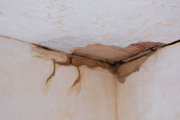 Best 24-hour water damage restoration  in Lake City, MN