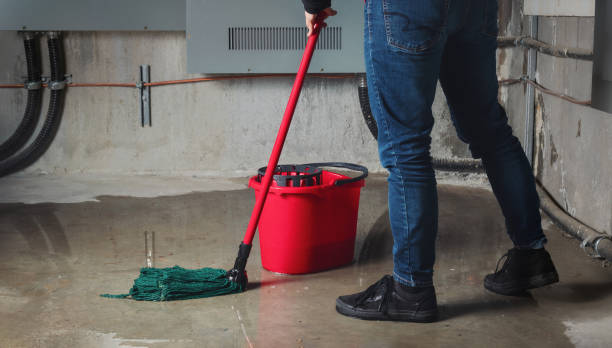 Best Fire Damage Restoration  in Lake City, MN