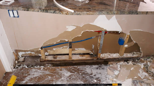 Best Basement water damage restoration  in Lake City, MN