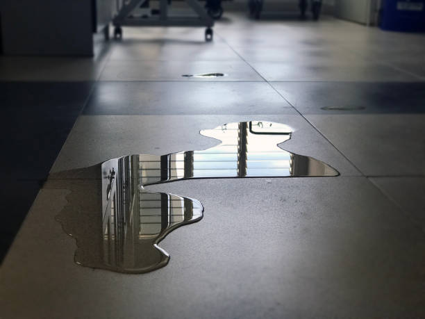 Best Water damage contractors near me  in Lake City, MN