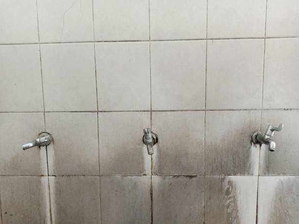 Reliable Lake City, MN Water damage restoration Solutions